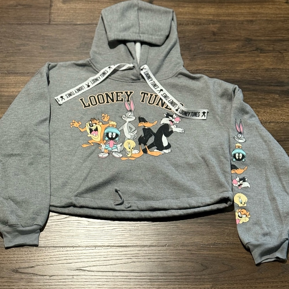 Looney Tunes Gray Hoodie Cropped Sweater